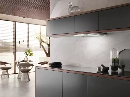 Встраиваемая вытяжка Miele DAS 2620