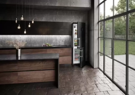 Холодильник Liebherr CBNbs 4878