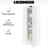 Морозильник Liebherr FNc 727i Peak