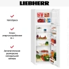 Холодильник Liebherr CT 2931