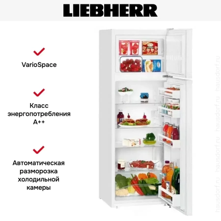 Холодильник Liebherr CT 2931