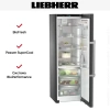 Холодильник Liebherr RBbsc 5250