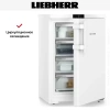Морозильник Liebherr FNe 1404