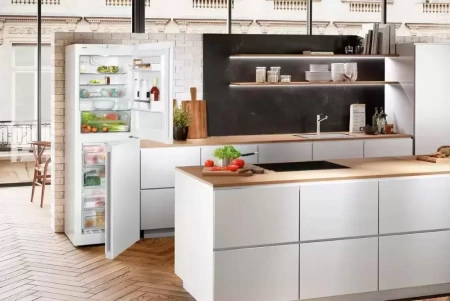 Холодильник Liebherr CN 4213