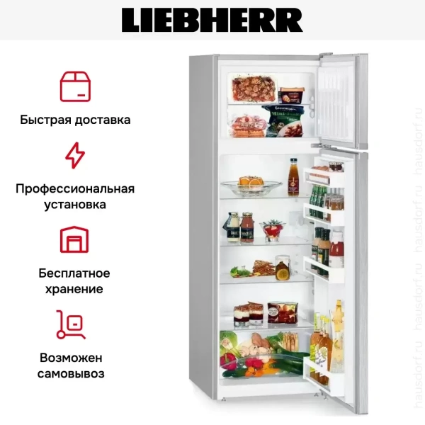 Холодильник Liebherr CTele 2931