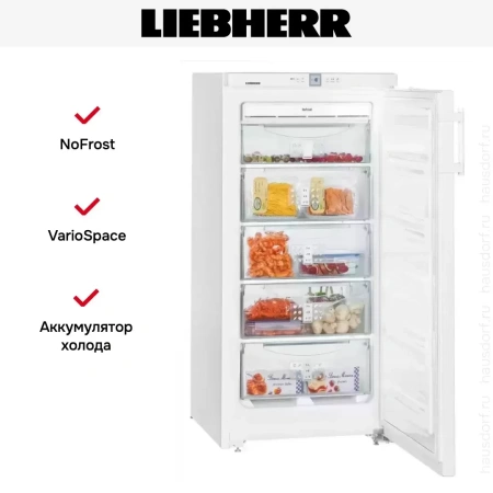 Морозильник Liebherr GNP 1956