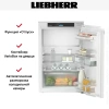 Встраиваемый холодильник Liebherr IRBI3951