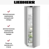 Холодильник Liebherr RBsfd 5221