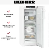 Морозильник Liebherr FNd 4655