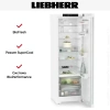 Холодильник Liebherr RBc 5220 Plus