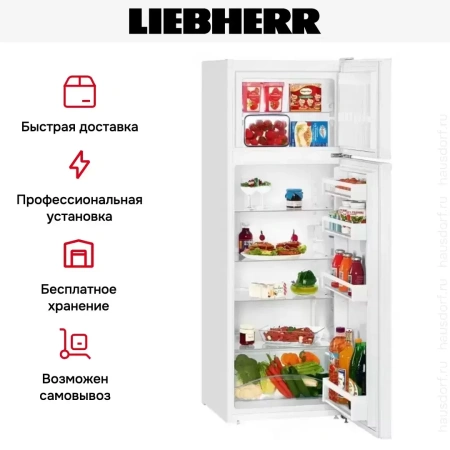 Холодильник Liebherr CT 2931