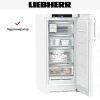 Морозильная камера Liebherr FNd 4254 Prime NoFrost