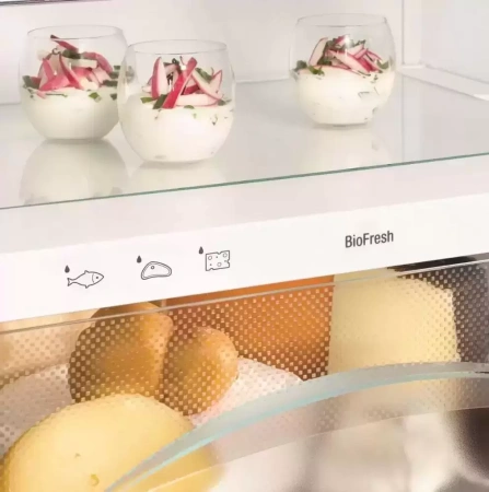 Холодильник Liebherr IKB 3524