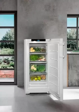 Холодильник Liebherr RBa 4250