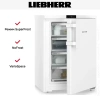 Морозильник Liebherr FNdi 1624