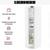 Холодильник Liebherr Rd 5220