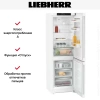 Холодильник Liebherr CNsff 5203