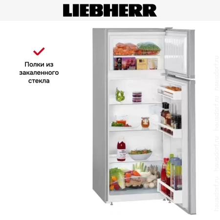 Холодильник Liebherr CTel 2531
