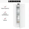 Морозильник Liebherr FNe 4605